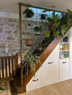 some plants are growing on the stairs in this house