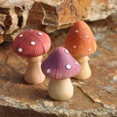 three small mushrooms sitting on top of a rock