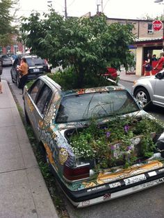 an old car with plants growing out of it's hood parked on the side of the road