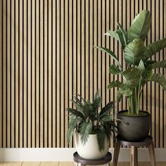 two potted plants sit on stools in front of a wall with vertical stripes