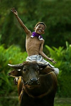 a young boy riding on the back of a brown cow with his arms in the air