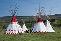 three teepees are standing in the grass