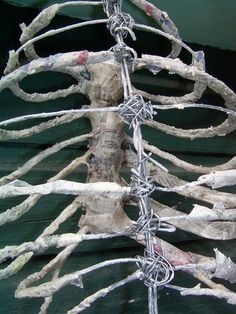 a skeleton is wrapped in barbed wire