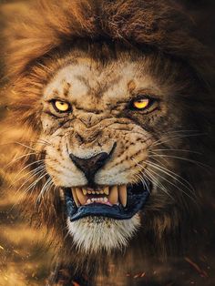 a lion with its mouth open and glowing yellow eyes