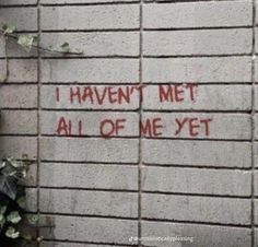 graffiti on the side of a brick wall that says i haven't met all of me yet