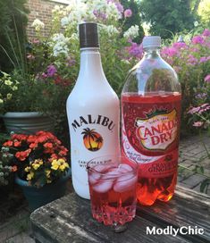 two bottles of alcohol sitting on top of a wooden table next to flowers and potted plants