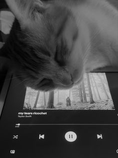 a cat laying on top of an mp3 player with its head resting on the screen