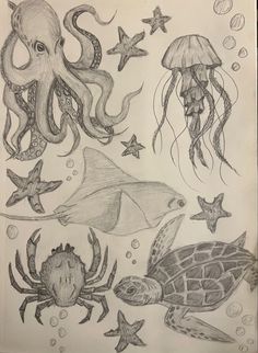 an octopus, jellyfish, starfish and sea animals are depicted in this drawing