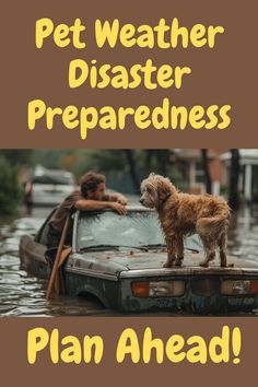 If you live in an area that is prone to tornadoes, hurricanes, earthquakes or floods, you should make plans ahead to make sure your pets are safe.  Here's what to do for pet disaster preparedness. Disaster Preparedness, Senior Dog, Dog Care, Care Tips, Dog Owners, Dog Lovers, Pet, How To Plan