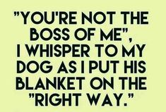 a black and white quote with the words you're not the boss of me, i whisper to my dog as put his blanket on the right way