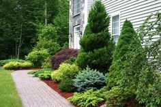 a brick walkway surrounded by trees and shrubs in front of a house with white siding