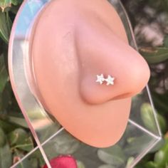 a close up of a fake nose with small stars on it's side and flowers in the background