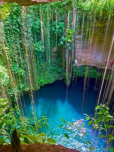 cenote mexique Aztec Princess, Mexico Nature, Mexico Aesthetic, Cancun Trip, Quintana Roo, Mexico Travel, Travel Aesthetic, Mexico City