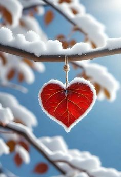 a red heart shaped ornament hanging from a tree branch with snow on it