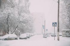 a snowy street with cars parked on the side and trees covered in snow behind it