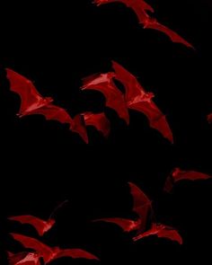 a group of bats flying through the night sky with red light on them and black background