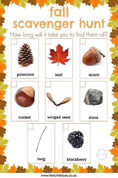 an autumn scavenger hunt with pictures of leaves, acorns and pine cones