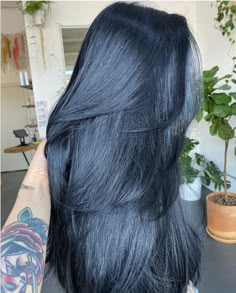 Blue Based Black Hair, Dark Blue Hair Almost Black, Blue Black Hair Inspiration, Long Blue Black Hair With Layers, Black Hair That Looks Blue, Black Velvet Hair Color, Midnight Blue Hair On Black Hair, Jet Black Blue Hair Color, Jet Black With Blue Tint