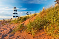 a light house sitting on top of a sandy beach next to tall grass and trees