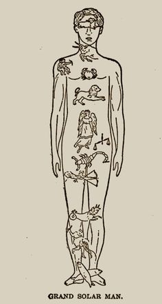 an old drawing of a man's body with the words grand solar man on it