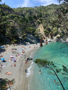 many people are on the beach and in the water