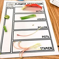 an image of flowers and stems on a piece of paper that is sitting on a table