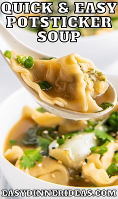 a spoon full of dumplings and noodles with the words quick & easy pot sticker soup