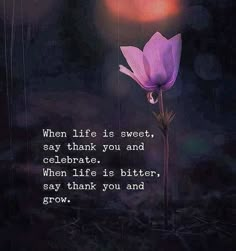 a purple flower with the words, when life is sweet, say thank you and celebrate