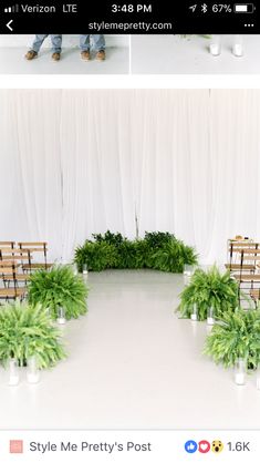 two pictures of chairs and plants in front of a white backdrop