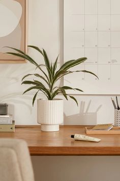 there is a plant on the desk next to some pens and pencils in front of a calendar