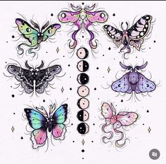 an image of butterflies and moon phases on a white background with black dots in the middle