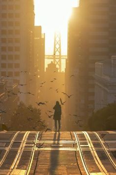 a person walking down a street with birds flying in the air and buildings in the background