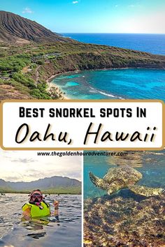 Best Snorkel Spots in Oahu Best Snorkeling In Oahu, Best Places To Snorkel, Hawaii Vacation Oahu, Hawaii Snorkeling, Travel Fiji