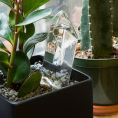 a house plant in a pot on a window sill with rocks and gravel around it