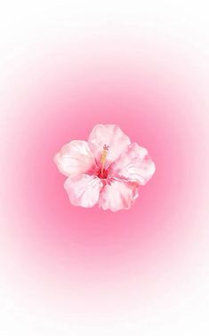 a pink flower is in the middle of a white and pink background with an orange center