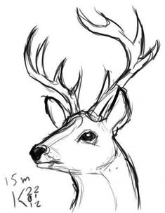 a drawing of a deer with antlers on it's head