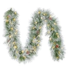 the letter n is made up of pine cones and christmas garlands with lights on them