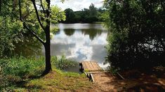 a wooden bench sitting on the side of a river