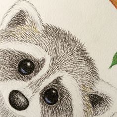 a drawing of a raccoon with leaves on it's back and eyes