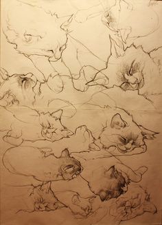 a drawing of cats laying down on the ground with their tails curled up and eyes closed