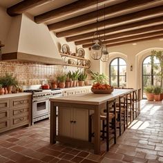 a kitchen filled with lots of counter top space and potted plants on the counters