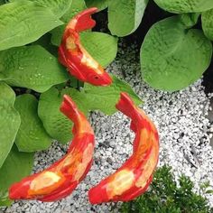 two red and yellow koi fish sitting on top of some green leafy plants