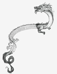 a black and white drawing of a dragon with its tail curled in the shape of a snake