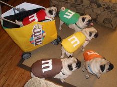 four pug puppies in costumes standing next to each other