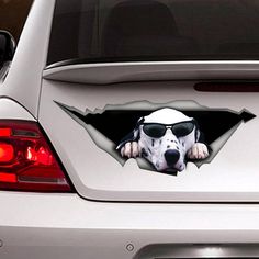 a dog with sunglasses sticking out of the side of a car