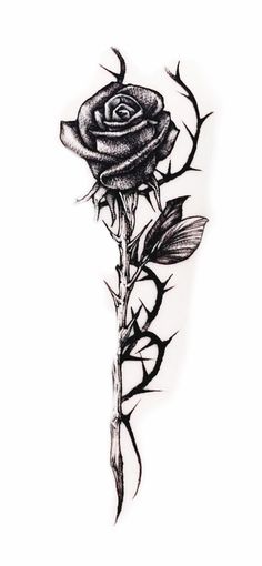 Rose Thorn Spine Tattoo, Rose Thorns Wrapped Around Arm Tattoo, Rose Thorn Tattoo Men, Black Rose With Thorns Tattoo, Gothic Rose Tattoo Design, Rose Thorn Tattoo Vines, Rose With Thorns Tattoo Design, Mens Spine Tattoo Ideas Unique, Spooky Rose Tattoo