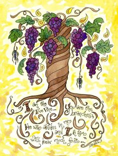 a drawing of a tree with grapes growing out of it and the words, i am who