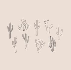 a line drawing of different types of cacti and succulents on a pink background