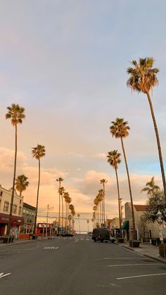 palm trees line the street in front of shops