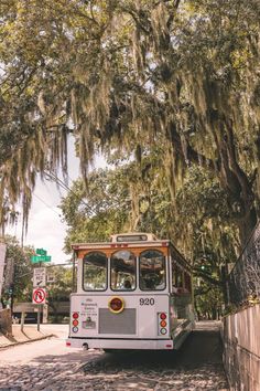 a white bus driving down a street next to a tree filled with spanish lichen